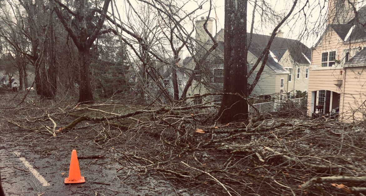 Charbonneau storm damage